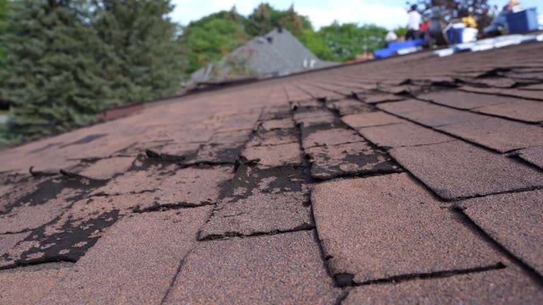 Best Rubber Roofing (EPDM, TPO)  in West Glendive, MT